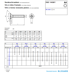 Vis inox A4 tête fraisée Torx ISO 14581 – fixation marine